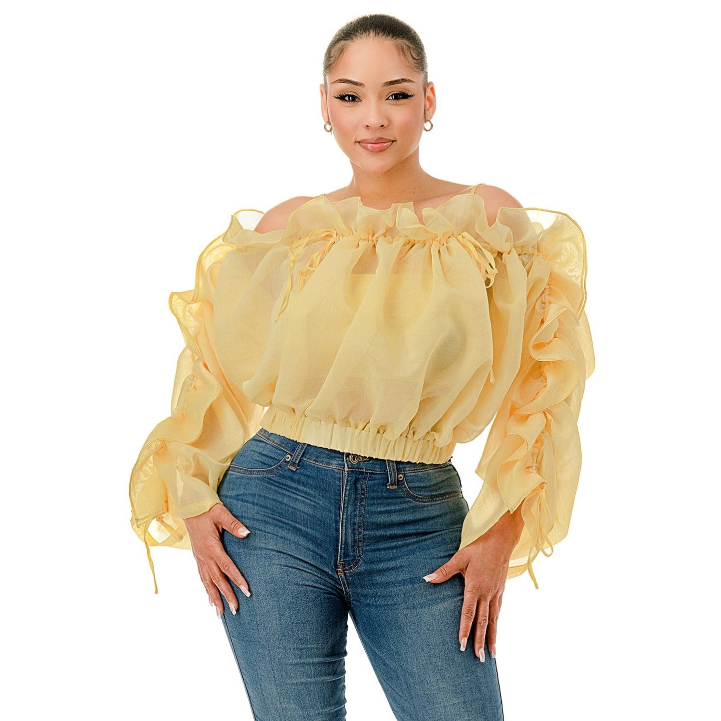 Off the Shoulder Long Sleeve Ruffle Sheer Top-CURVY