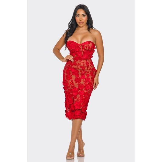 Scarlet Floral Applique Dress